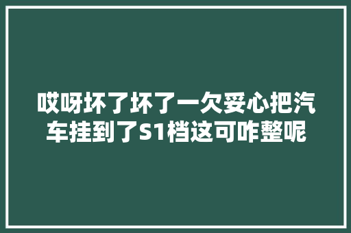 哎呀坏了坏了一欠妥心把汽车挂到了S1档这可咋整呢