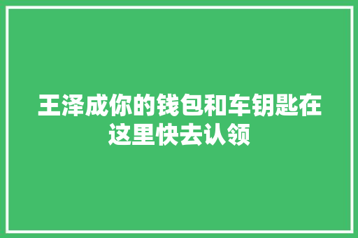 王泽成你的钱包和车钥匙在这里快去认领