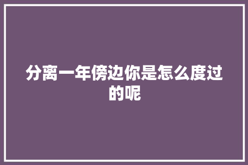 分离一年傍边你是怎么度过的呢
