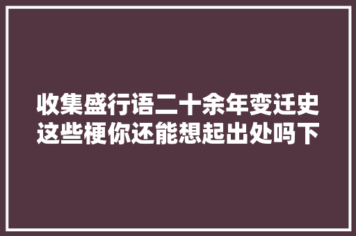 收集盛行语二十余年变迁史这些梗你还能想起出处吗下