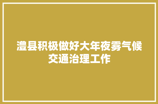 澧县积极做好大年夜雾气候交通治理工作