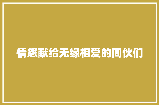 情怨献给无缘相爱的同伙们