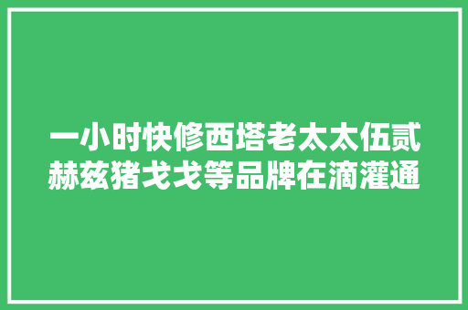 一小时快修西塔老太太伍贰赫兹猪戈戈等品牌在滴灌通澳交所挂牌DRO