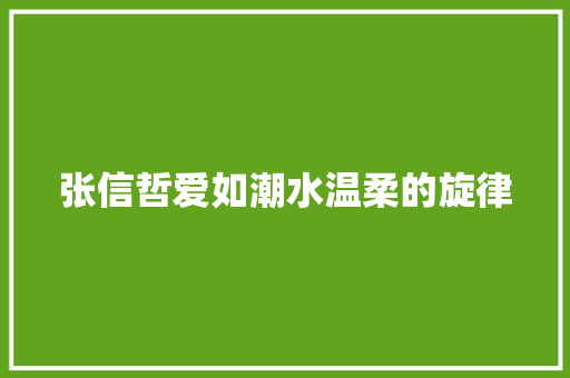 张信哲爱如潮水温柔的旋律