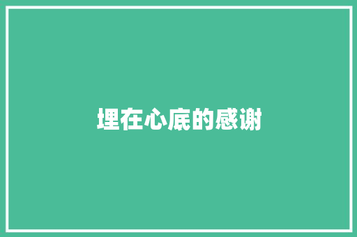 埋在心底的感谢