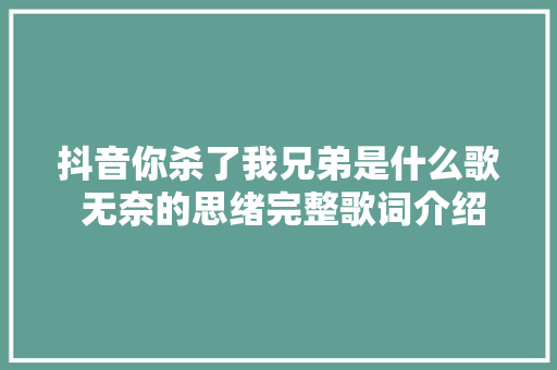 抖音你杀了我兄弟是什么歌 无奈的思绪完整歌词介绍在哪可以听
