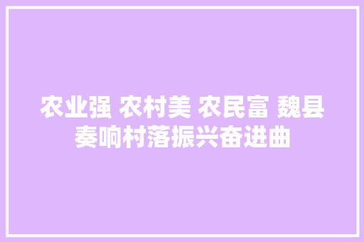 农业强 农村美 农民富 魏县奏响村落振兴奋进曲
