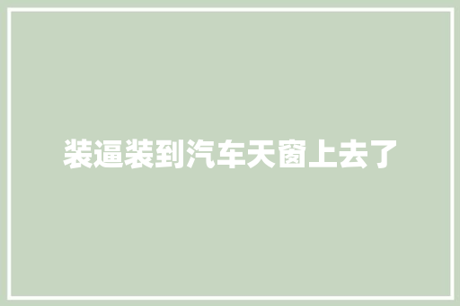 装逼装到汽车天窗上去了