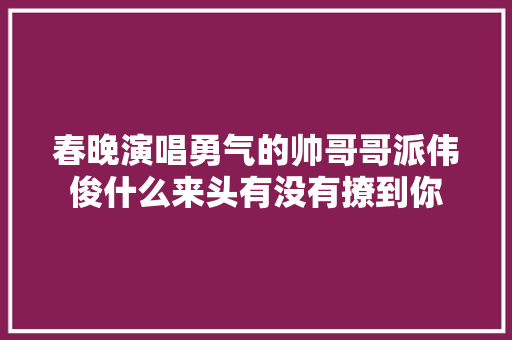 春晚演唱勇气的帅哥哥派伟俊什么来头有没有撩到你