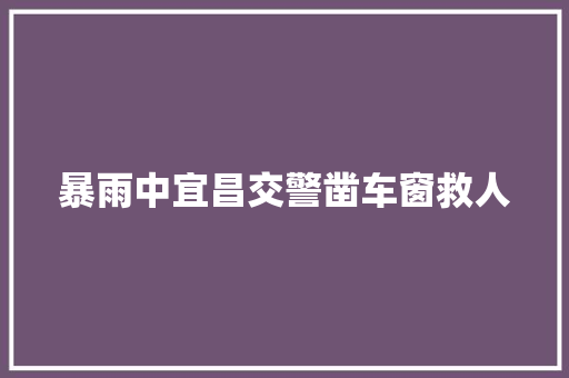 暴雨中宜昌交警凿车窗救人