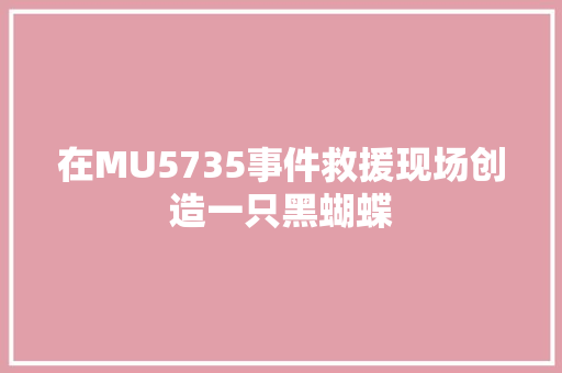 在MU5735事件救援现场创造一只黑蝴蝶