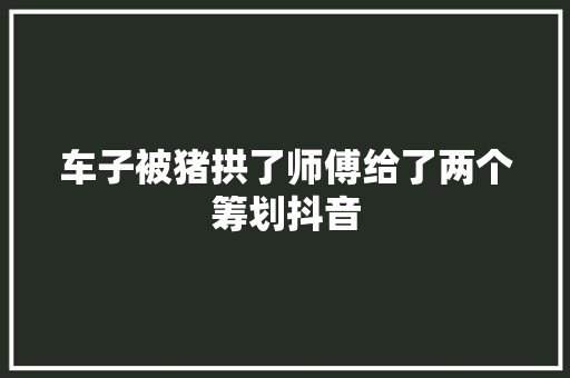 车子被猪拱了师傅给了两个筹划抖音