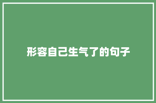 形容自己生气了的句子