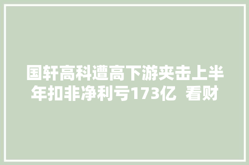 国轩高科遭高下游夹击上半年扣非净利亏173亿  看财报