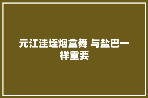 元江洼垤烟盒舞 与盐巴一样重要