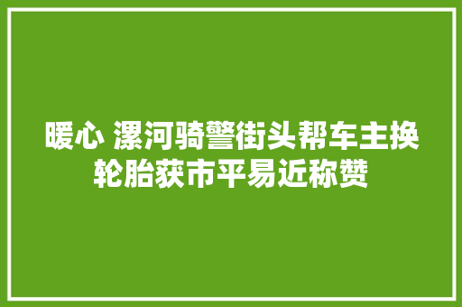 暖心 漯河骑警街头帮车主换轮胎获市平易近称赞