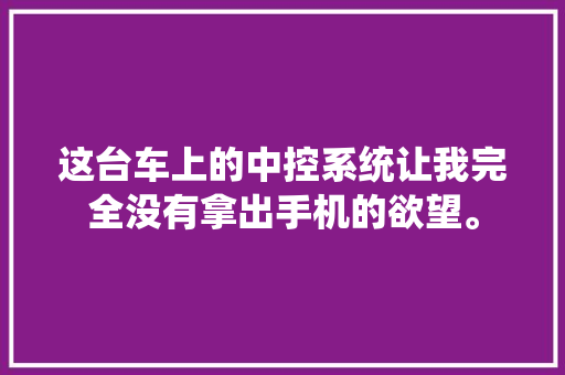 这台车上的中控系统让我完全没有拿出手机的欲望。
