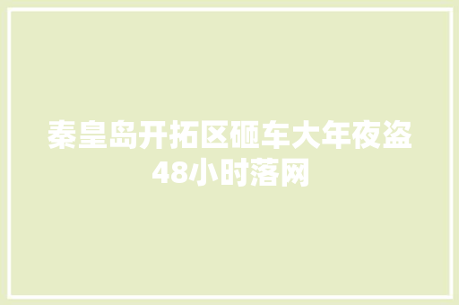 秦皇岛开拓区砸车大年夜盗48小时落网