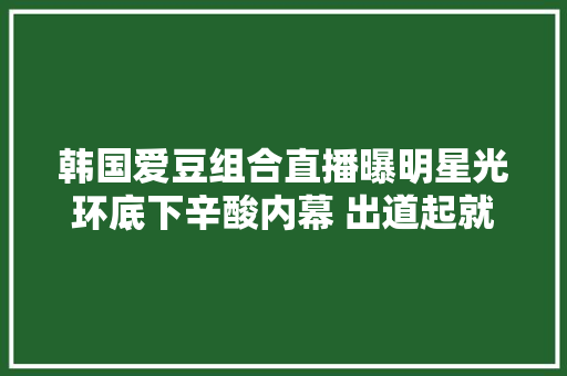 韩国爱豆组合直播曝明星光环底下辛酸内幕 出道起就开始产生负债