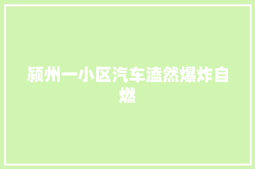 颍州一小区汽车溘然爆炸自燃