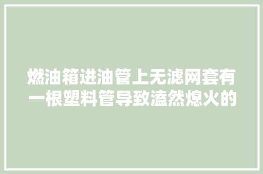 燃油箱进油管上无滤网套有一根塑料管导致溘然熄火的故障案例