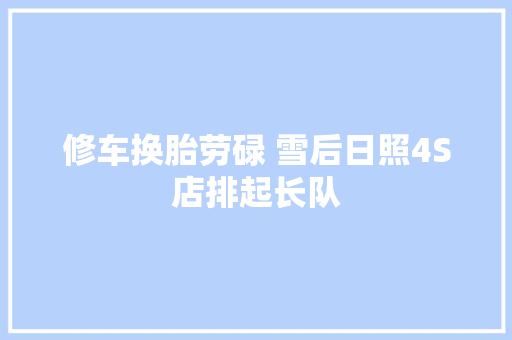 修车换胎劳碌 雪后日照4S店排起长队