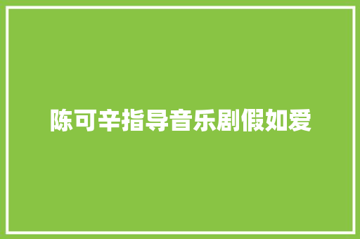 陈可辛指导音乐剧假如爱