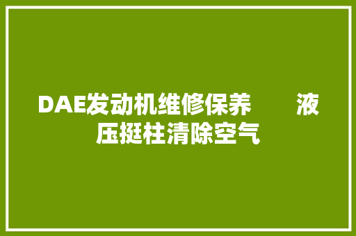 DAE发动机维修保养       液压挺柱清除空气