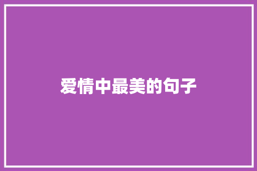 爱情中最美的句子