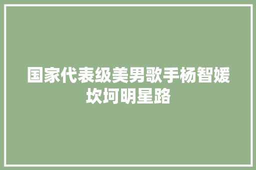 国家代表级美男歌手杨智媛坎坷明星路