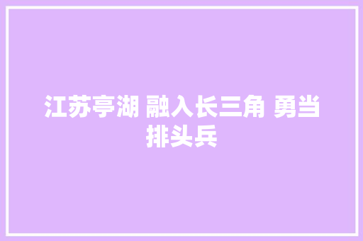 江苏亭湖 融入长三角 勇当排头兵