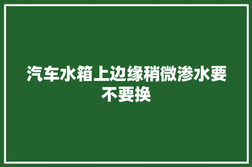 汽车水箱上边缘稍微渗水要不要换