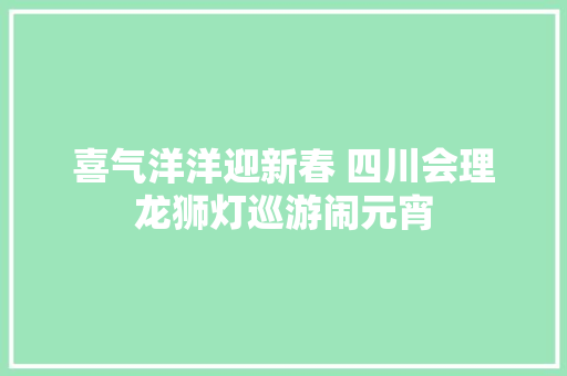 喜气洋洋迎新春 四川会理龙狮灯巡游闹元宵