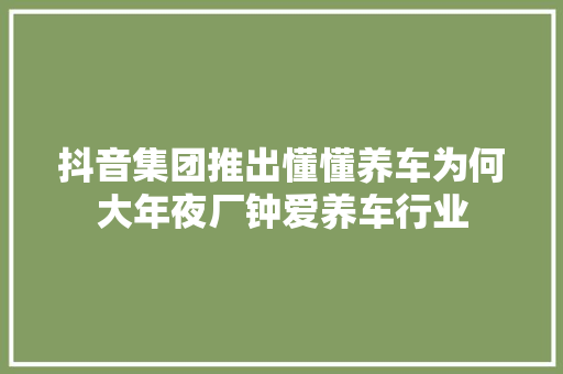 抖音集团推出懂懂养车为何大年夜厂钟爱养车行业