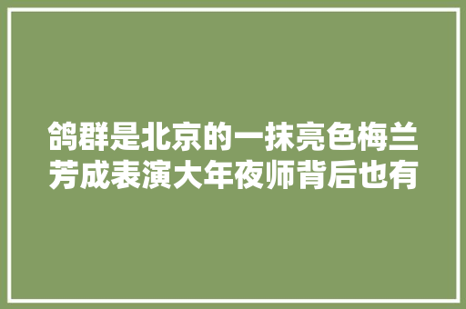 鸽群是北京的一抹亮色梅兰芳成表演大年夜师背后也有鸽子的功劳
