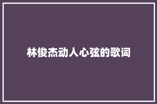 林俊杰动人心弦的歌词 休闲娱乐