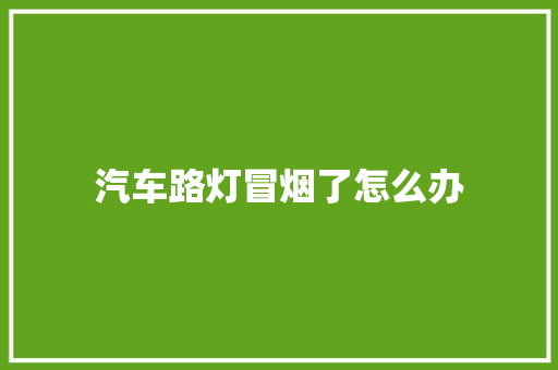 汽车路灯冒烟了怎么办