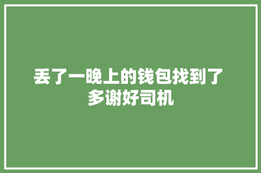 丢了一晚上的钱包找到了 多谢好司机