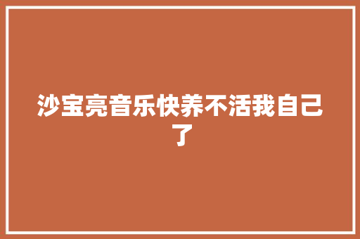 沙宝亮音乐快养不活我自己了
