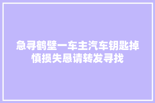 急寻鹤壁一车主汽车钥匙掉慎损失恳请转发寻找