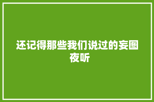 还记得那些我们说过的妄图  夜听