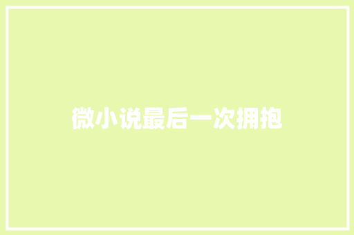 微小说最后一次拥抱