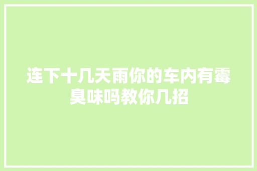 连下十几天雨你的车内有霉臭味吗教你几招