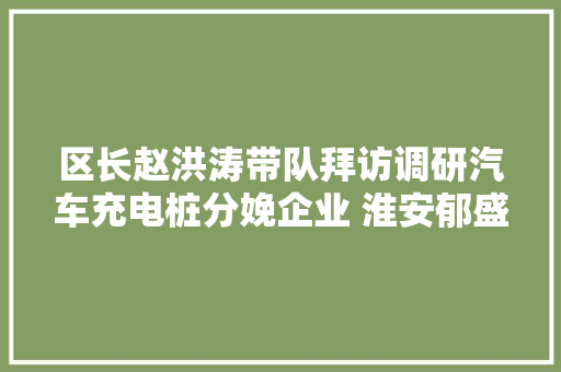 区长赵洪涛带队拜访调研汽车充电桩分娩企业 淮安郁盛科技有限公司