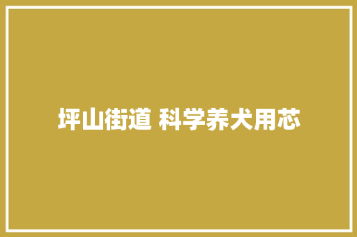 坪山街道 科学养犬用芯