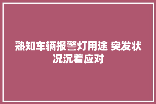 熟知车辆报警灯用途 突发状况沉着应对