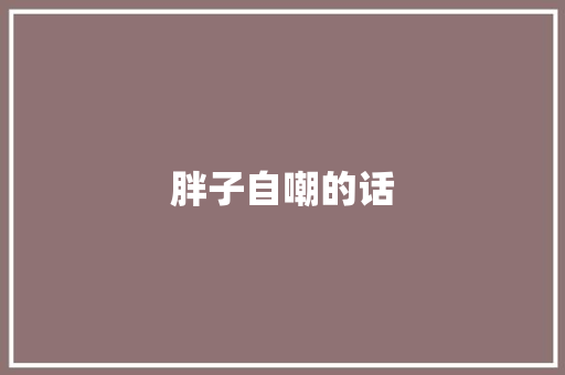 胖子自嘲的话