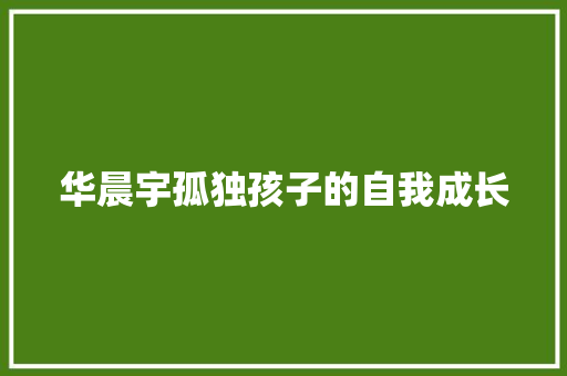 华晨宇孤独孩子的自我成长 休闲娱乐