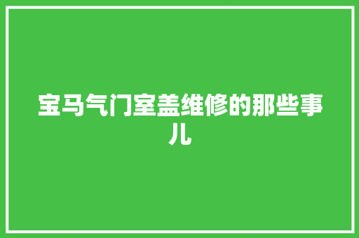 宝马气门室盖维修的那些事儿