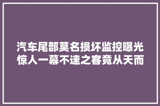 汽车尾部莫名损坏监控曝光惊人一幕不速之客竟从天而降